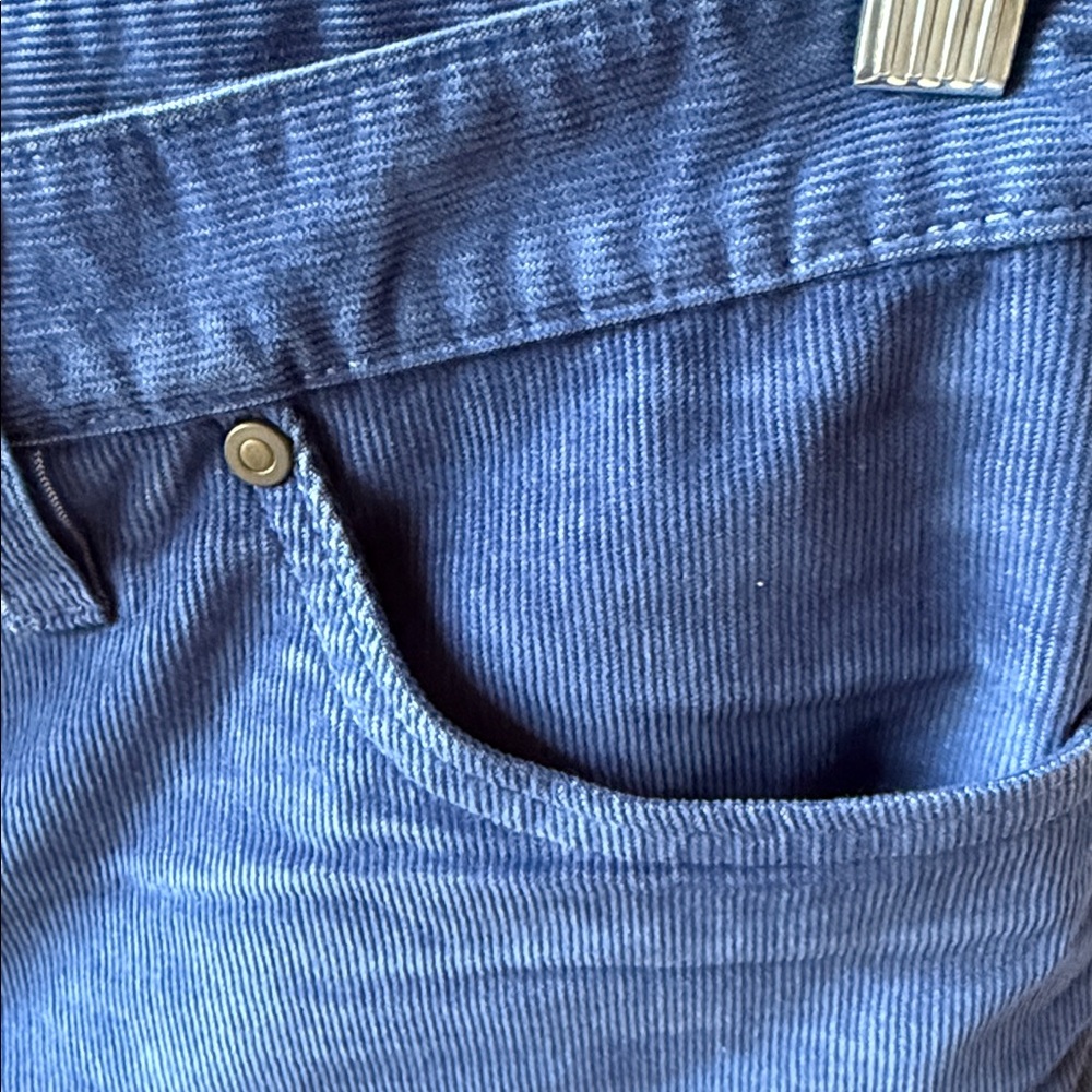 Carve Designs Women's Oahu blue Corduroy Shorts with fray & stretch. Size 6 - Picture 3 of 8